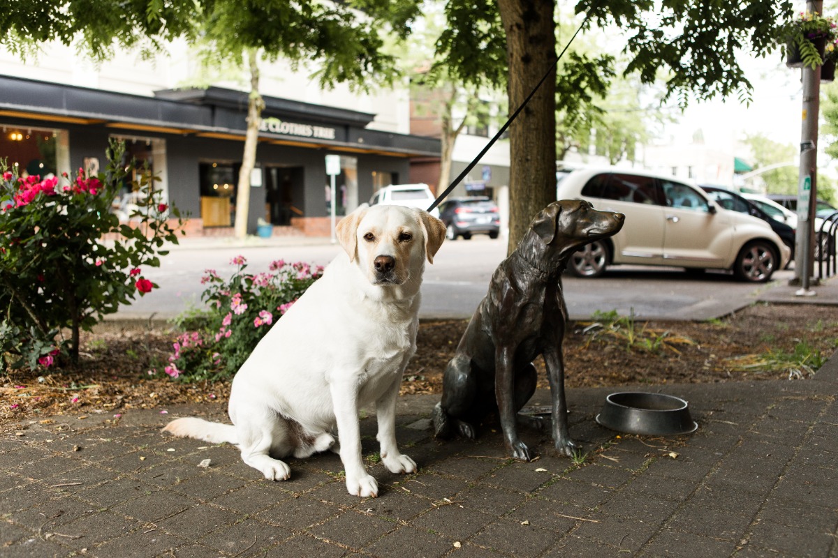 PetFriendly Corvallis