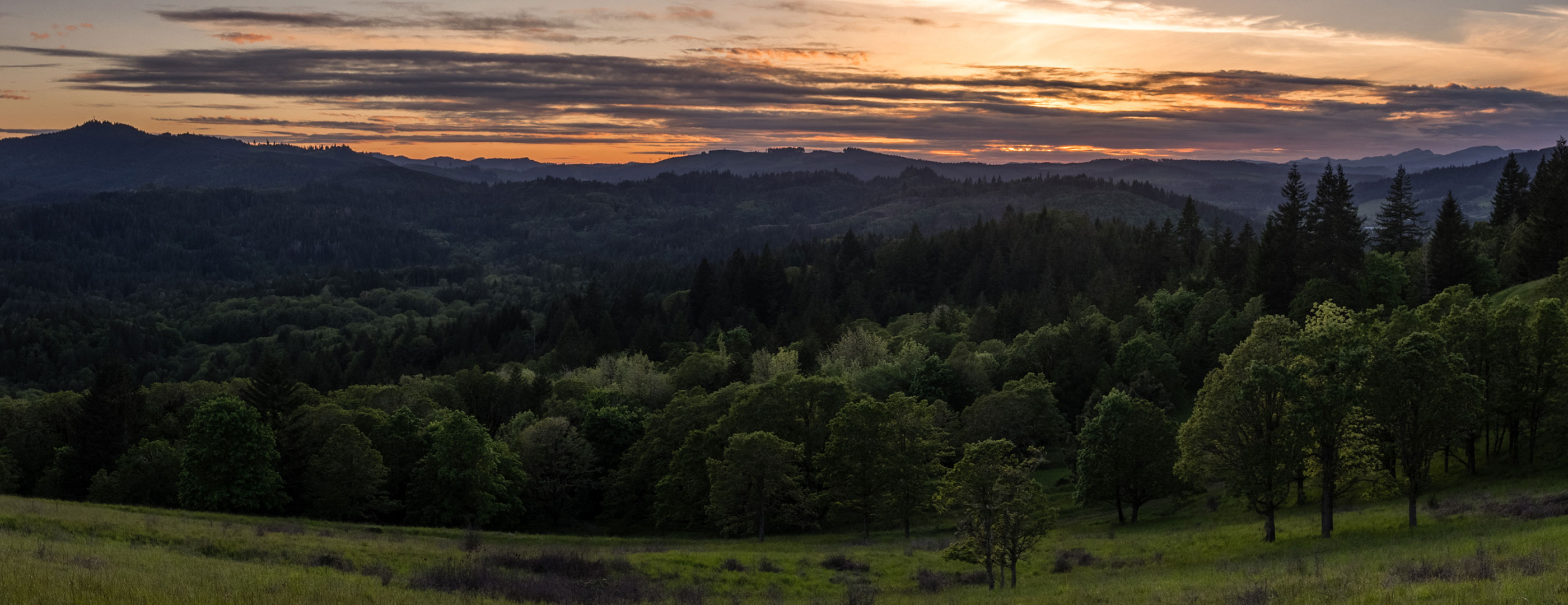 Fitton Green Natural Area, Corvallis, Oregon