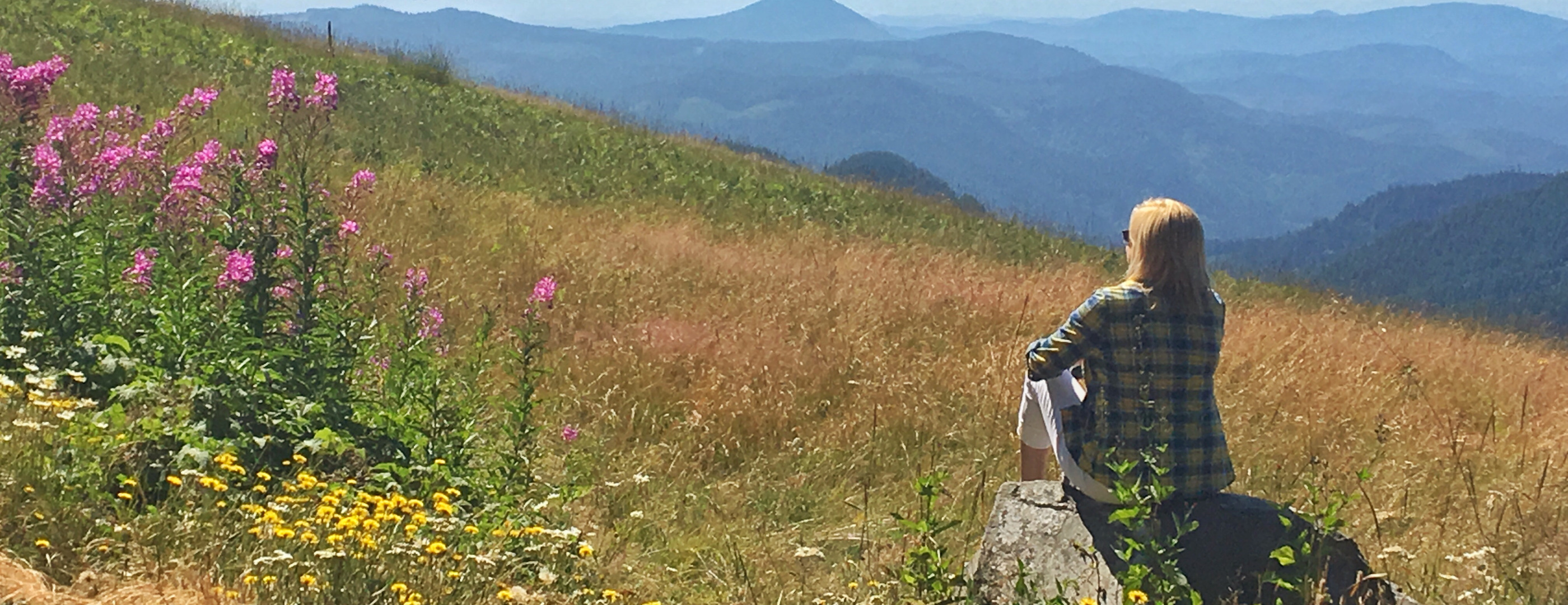 Top Things To Do & See In Corvallis Oregon OSU, Hotels, Hiking, Wine