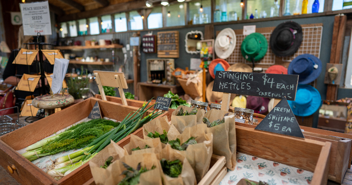 4 Farm Stands You Can Visit on the MidWillamette Valley Food Trail
