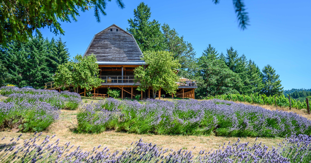 A Taster's Tour Corvallis to Brownsville