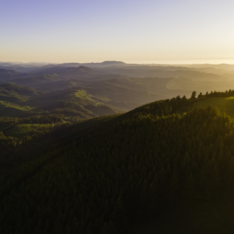 Marys Peak, Philomath, Oregon - A view from Marys Peak at sunset, showcasing the rolling mountaintops in golden light, by Granite and Light (Autumn Schrock / WVVA)