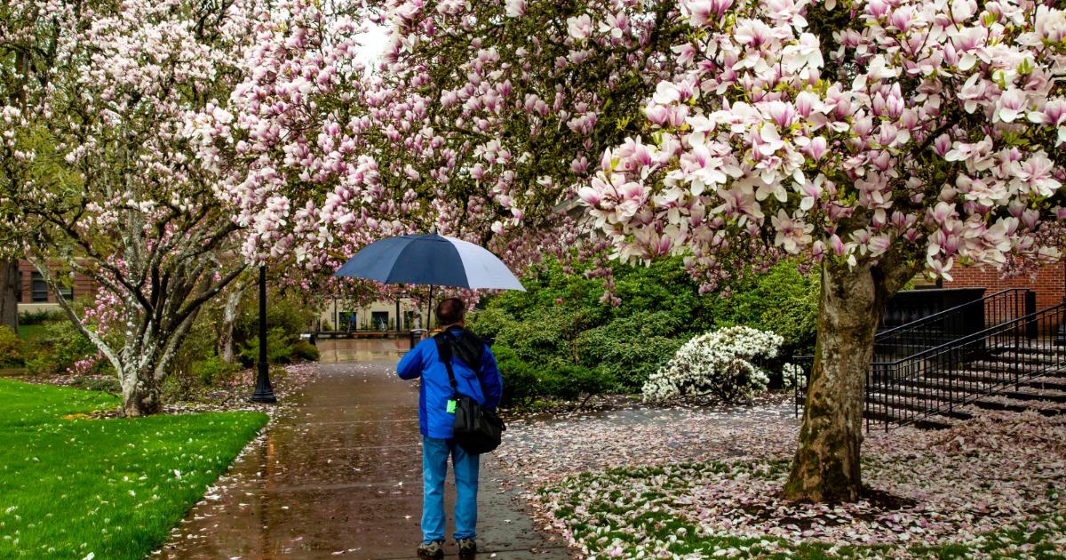 Rainy Day Fun in Corvallis