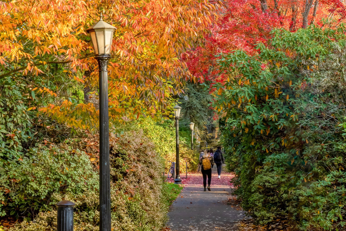 OSU Campus Arboretum Fall Foliage Tour