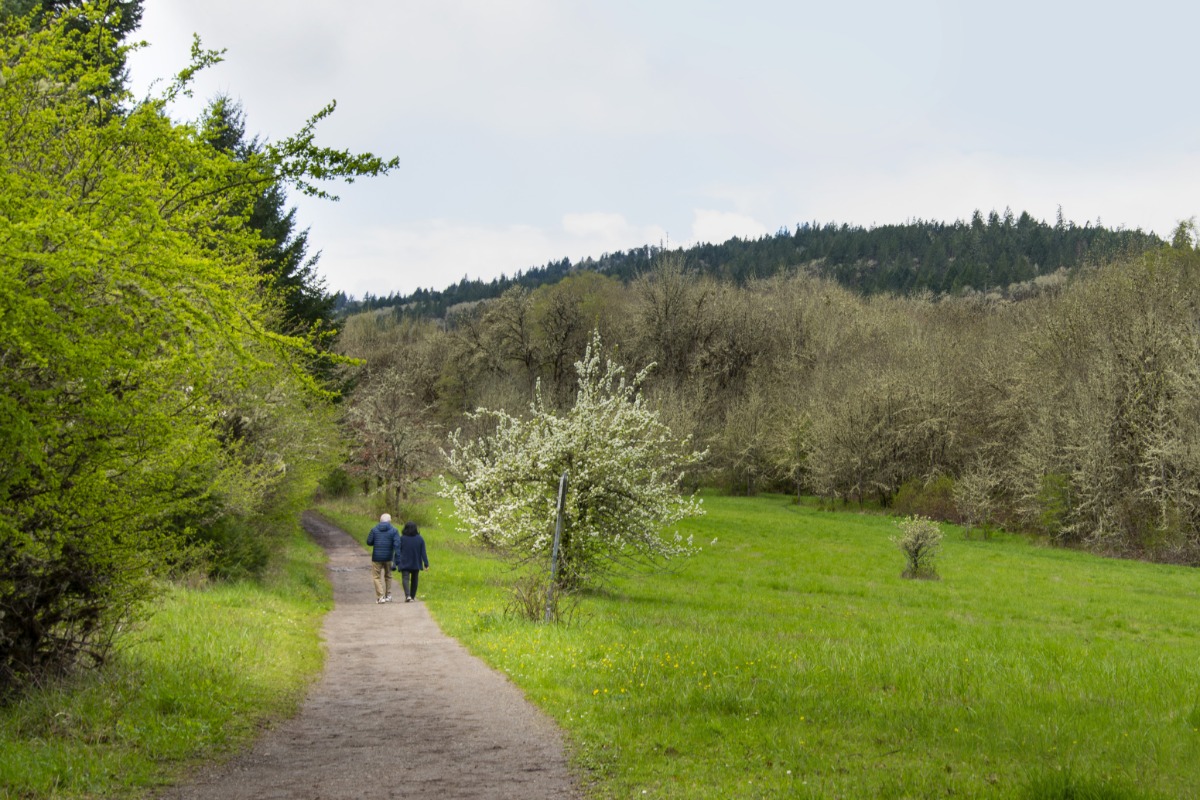 Hikers walk a trail at Bald Hill Natural Area in Corvallis, Oregon, by Isabella Medina Hikers walk a trail at Bald Hill Natural Area in Corvallis, Oregon, by Isabella Medina