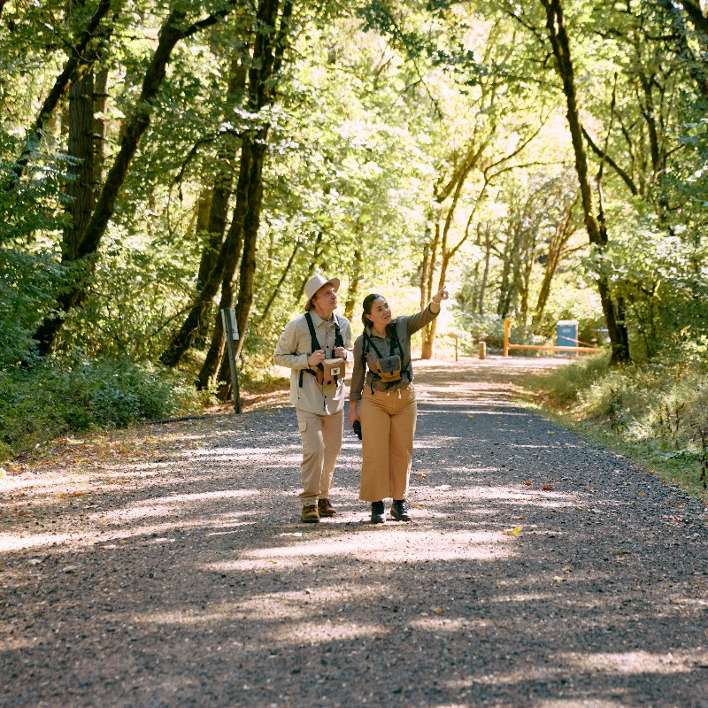 Birdwatchers in the woods in Corvallis, Oregon Birdwatchers in the woods in Corvallis, Oregon