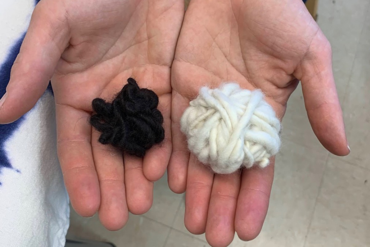 Tarweed Folk School is hosting a fiber swap during the November Corvallis Art Walk.