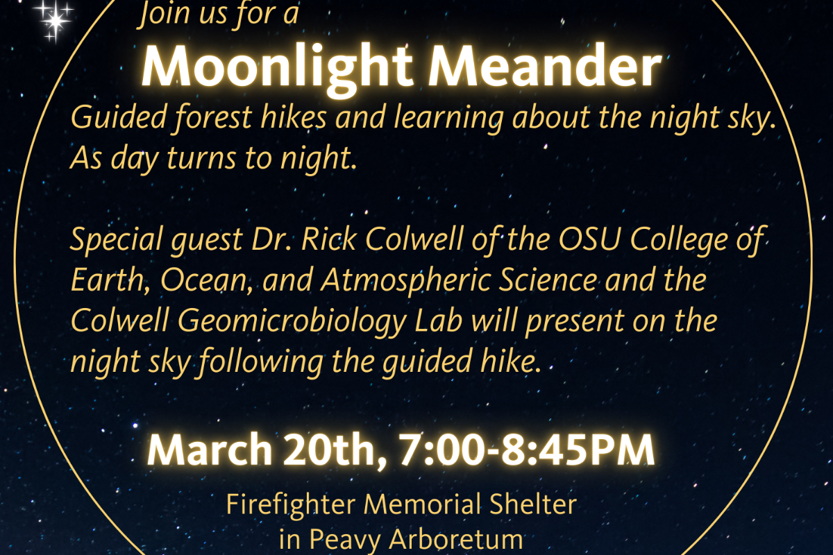 Moonlight Meander March 20 2026