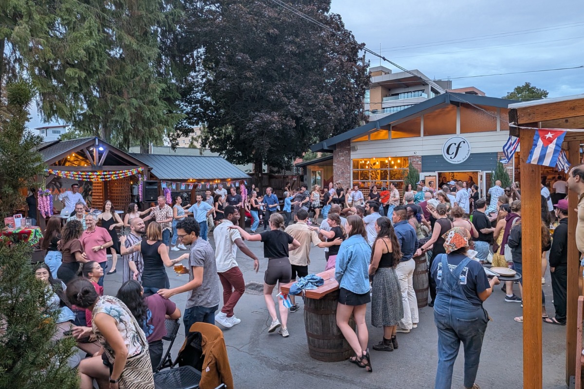 Havana Nights, from Common Fields