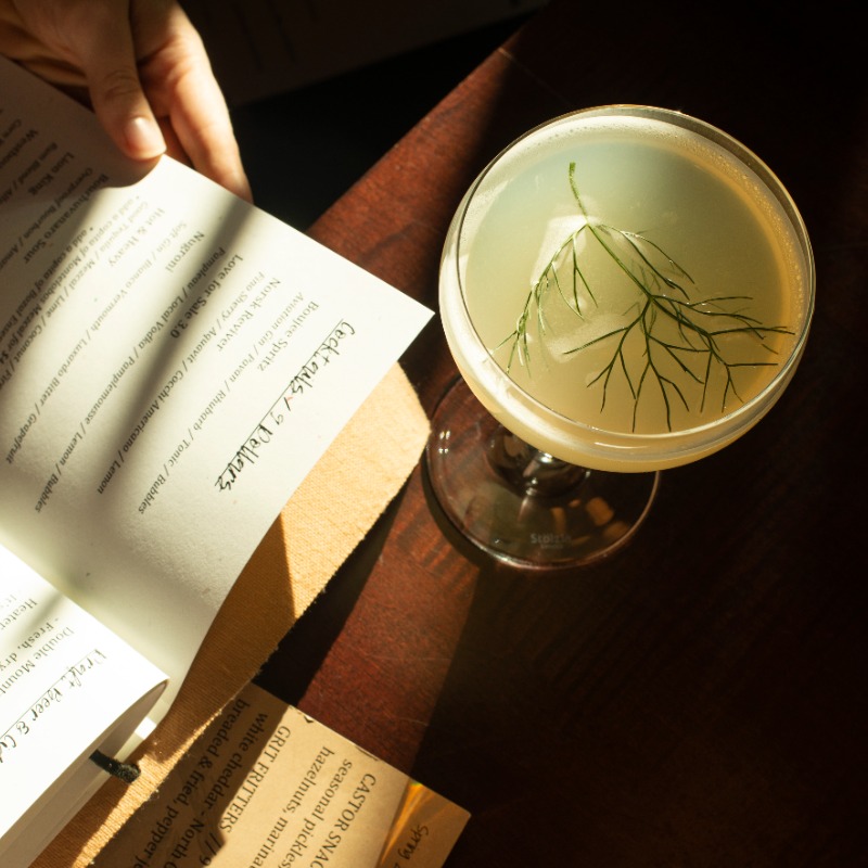 Castor Corvallis, Photo by: Isabella Medina