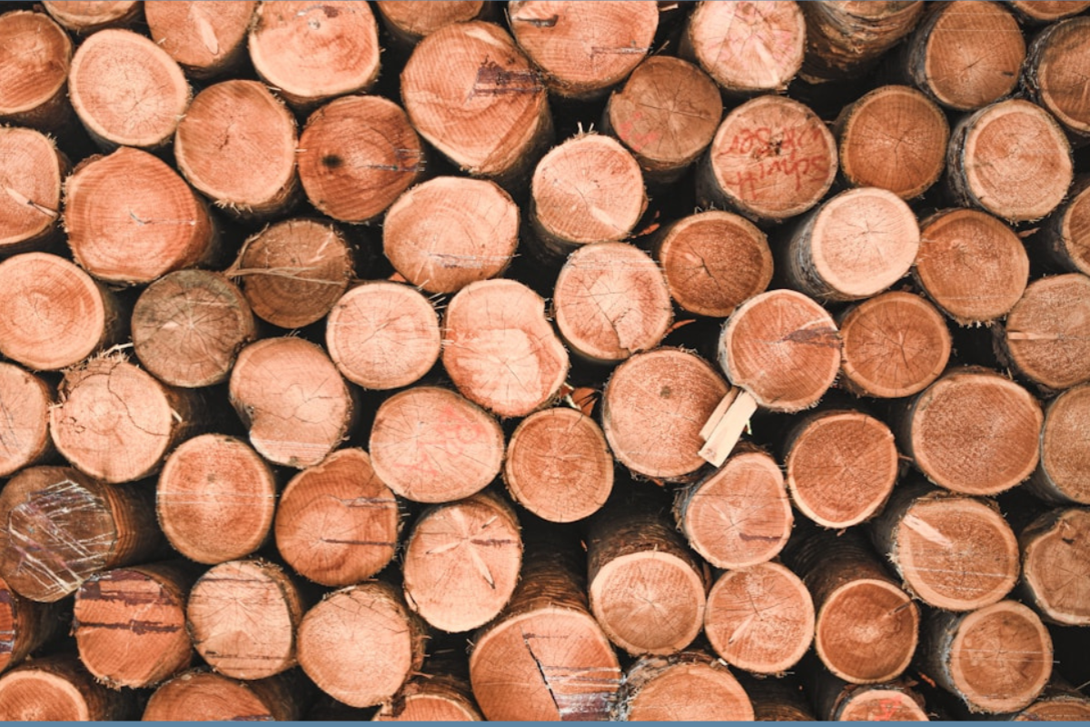 Timber Walking Tour Event Poster, from Engage Corvallis