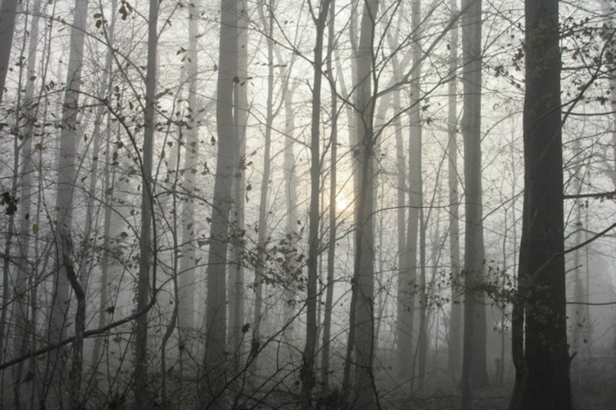 Walk the Town's Darkest Tales walking tour, courtesy Engage Corvallis