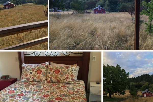 Corvallis Hotels Alder Creek Guest Cottage