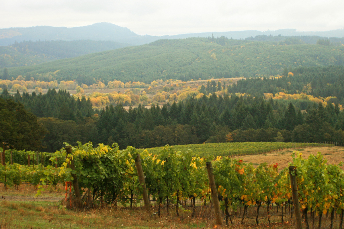 Heart of Willamette Wine Passport